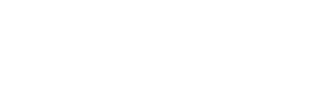 BirHesap